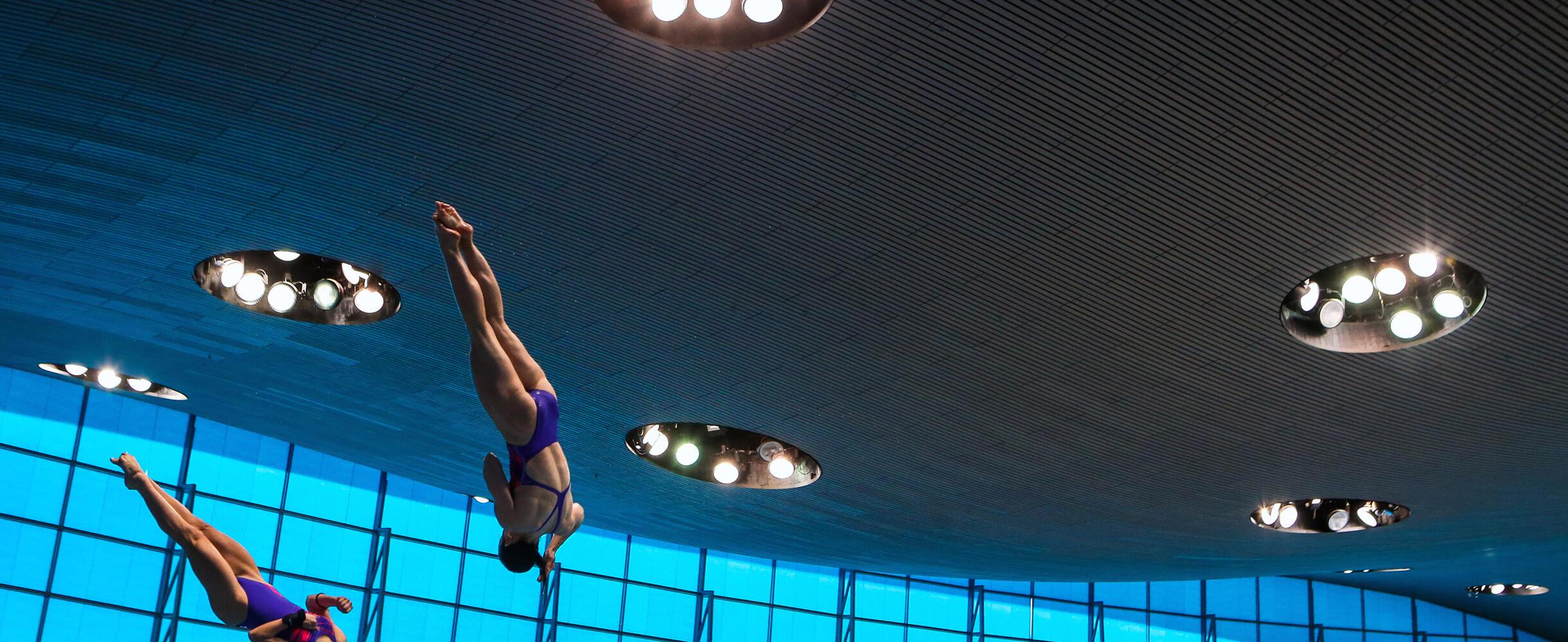FINA diving