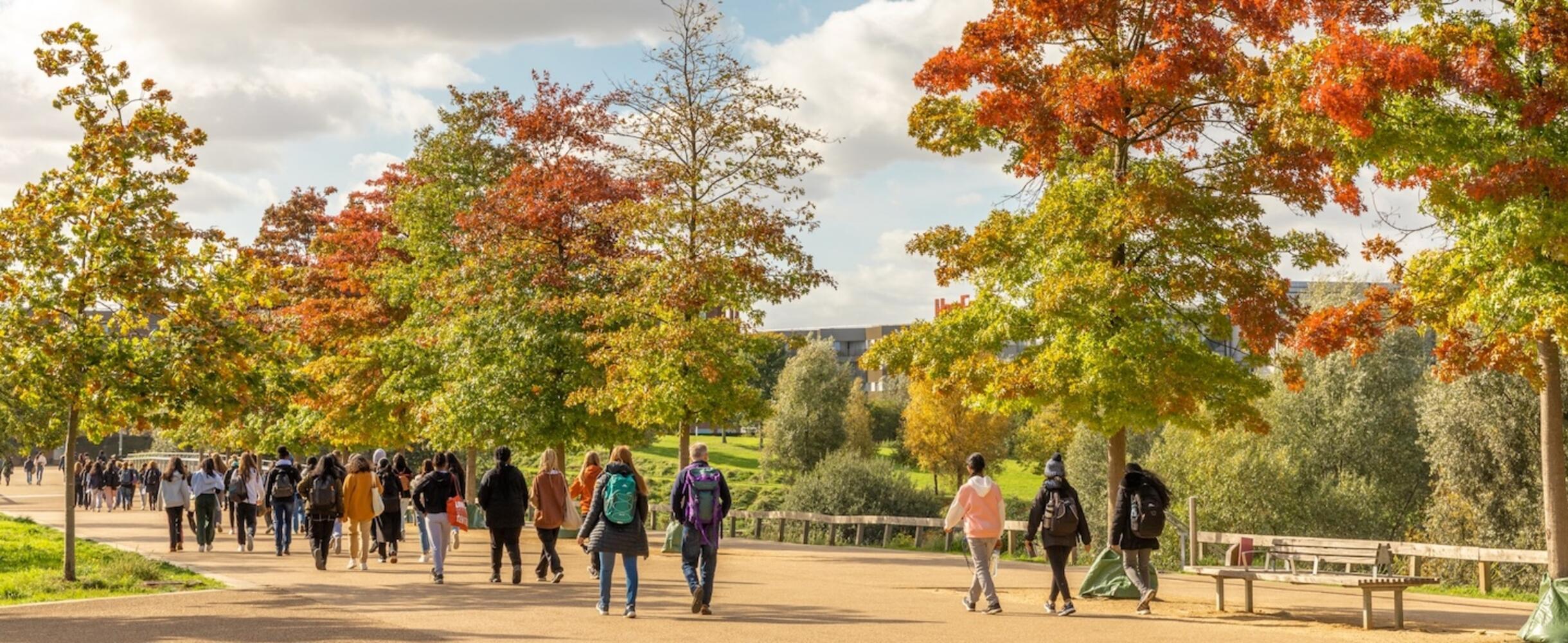 Autumn Park Walks