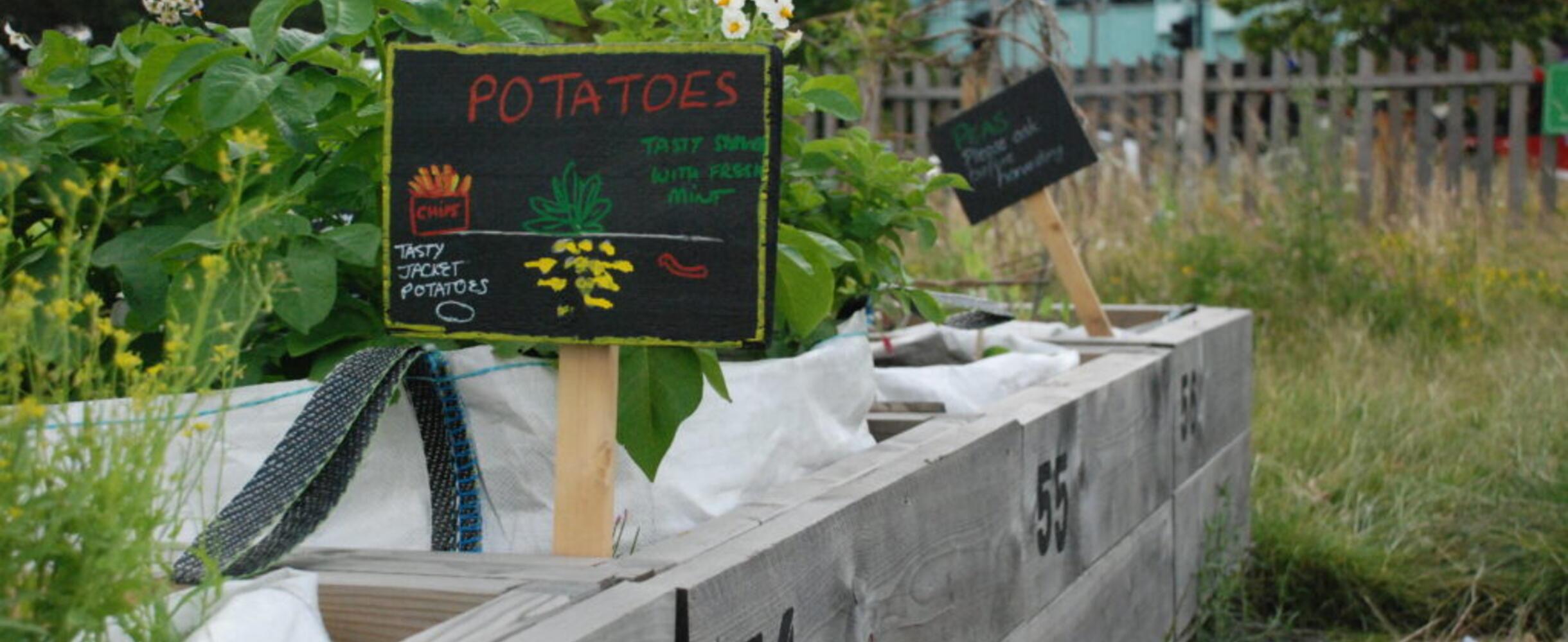 Mobile Garden at Hackney Bridge
