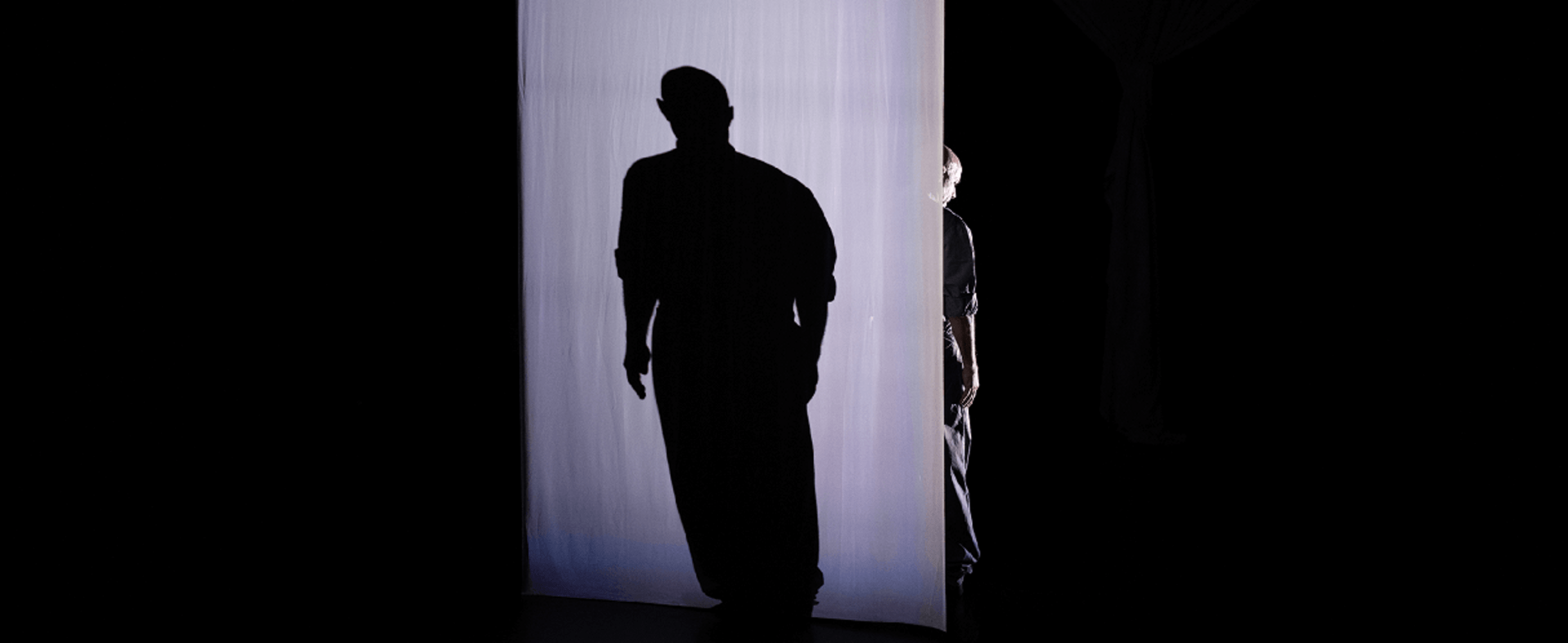 A dancer stands behind a curtain with their shadow shown