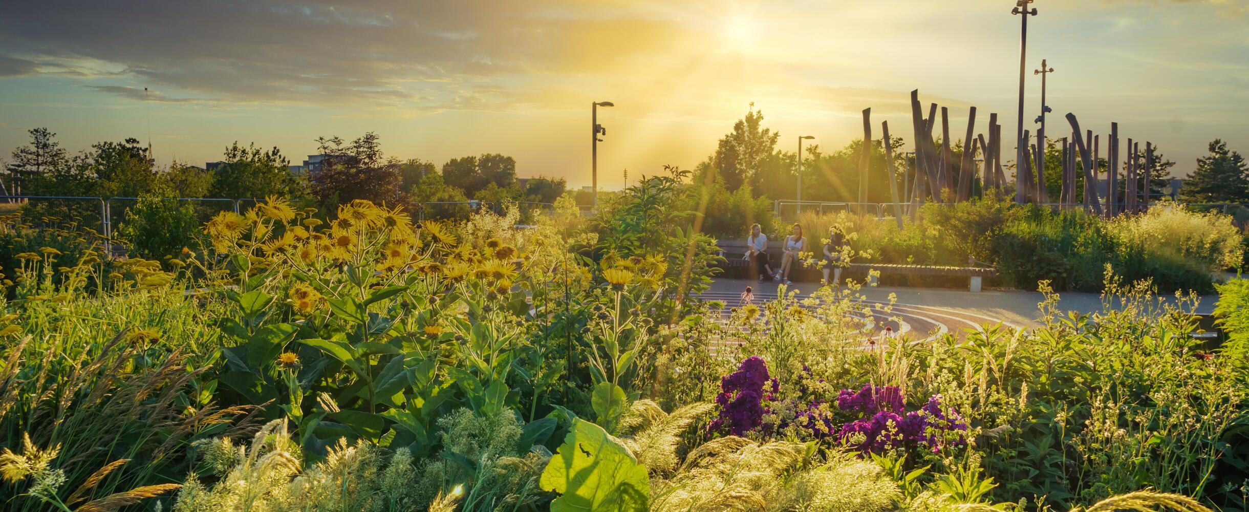 green spaces on Park