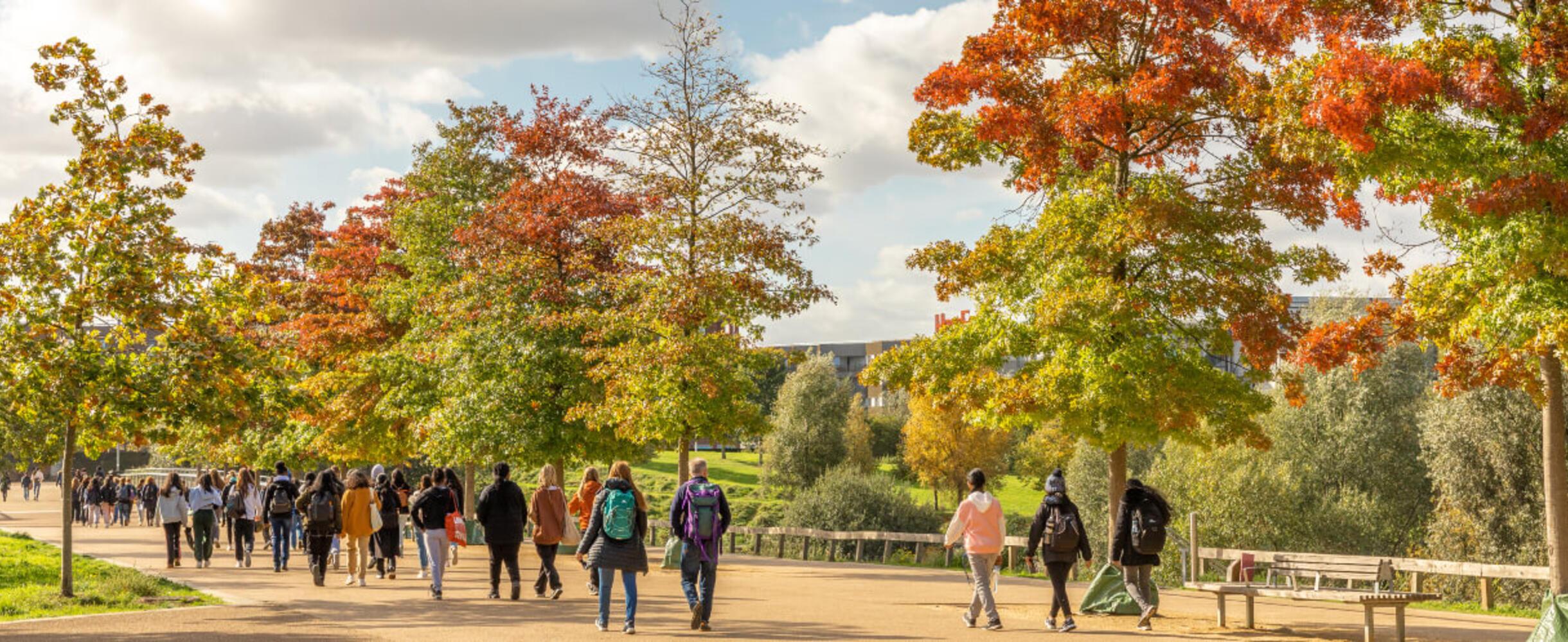 People strolling in the park in autumn with orange leaves