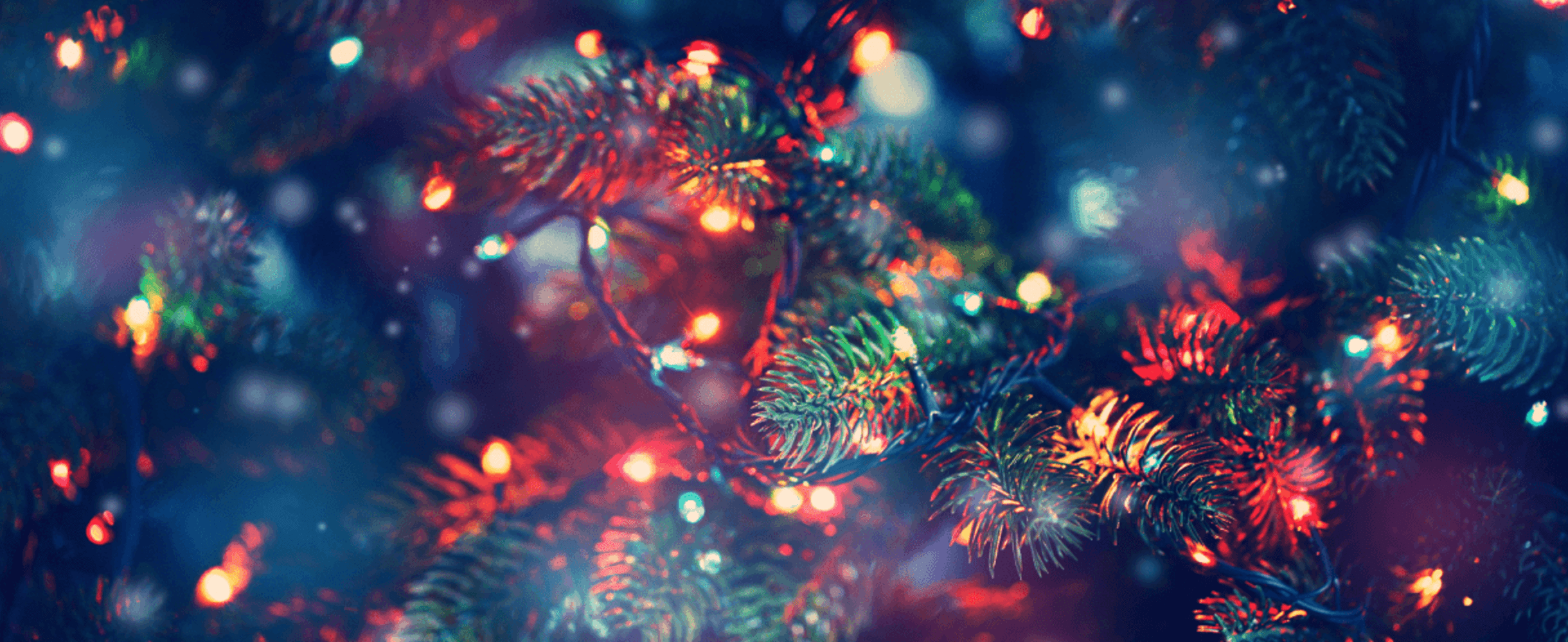 A close up of a Christmas tree with lights decorating it