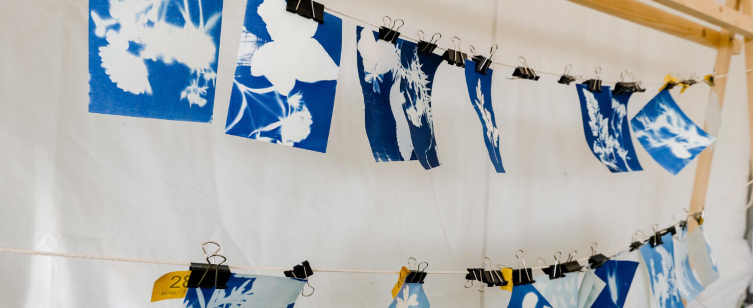 Cyanotype prints by UCL East
