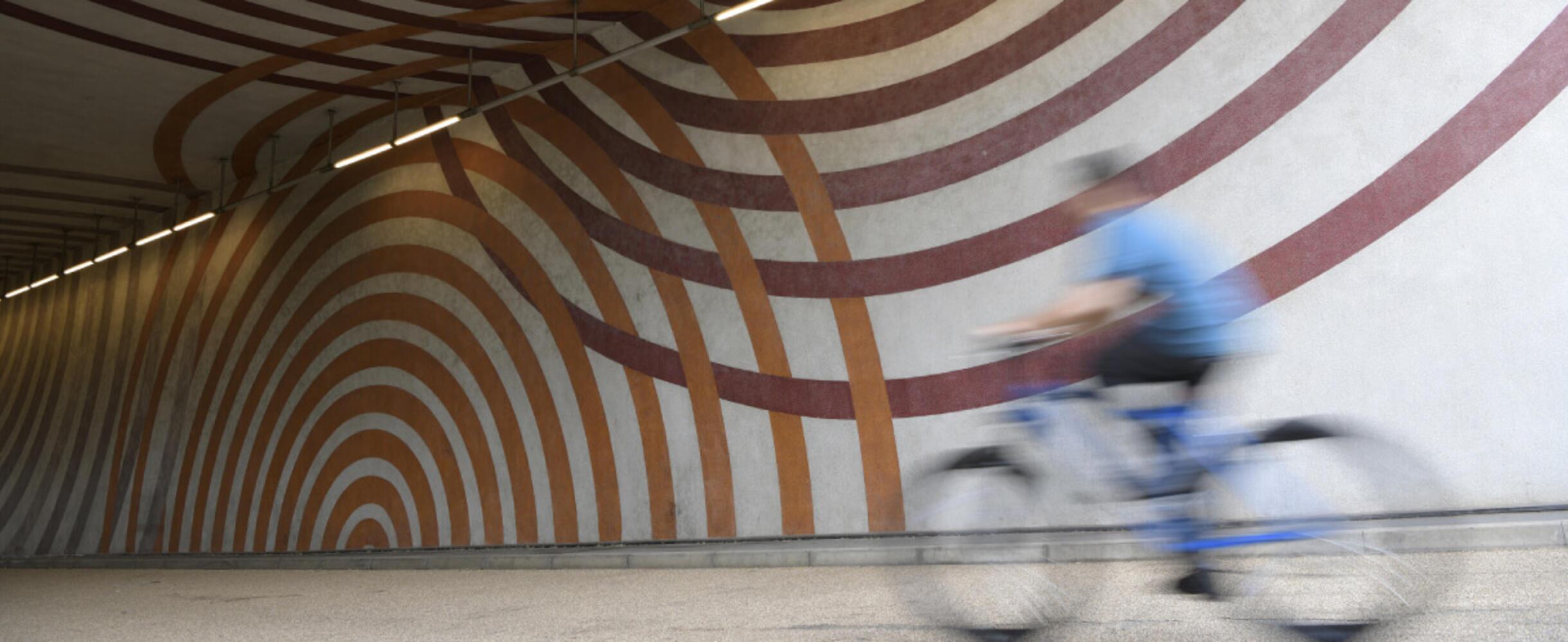 Some cycles past artwork on the wall