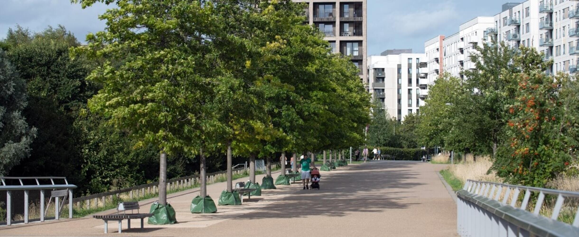A leafy neighbourhood