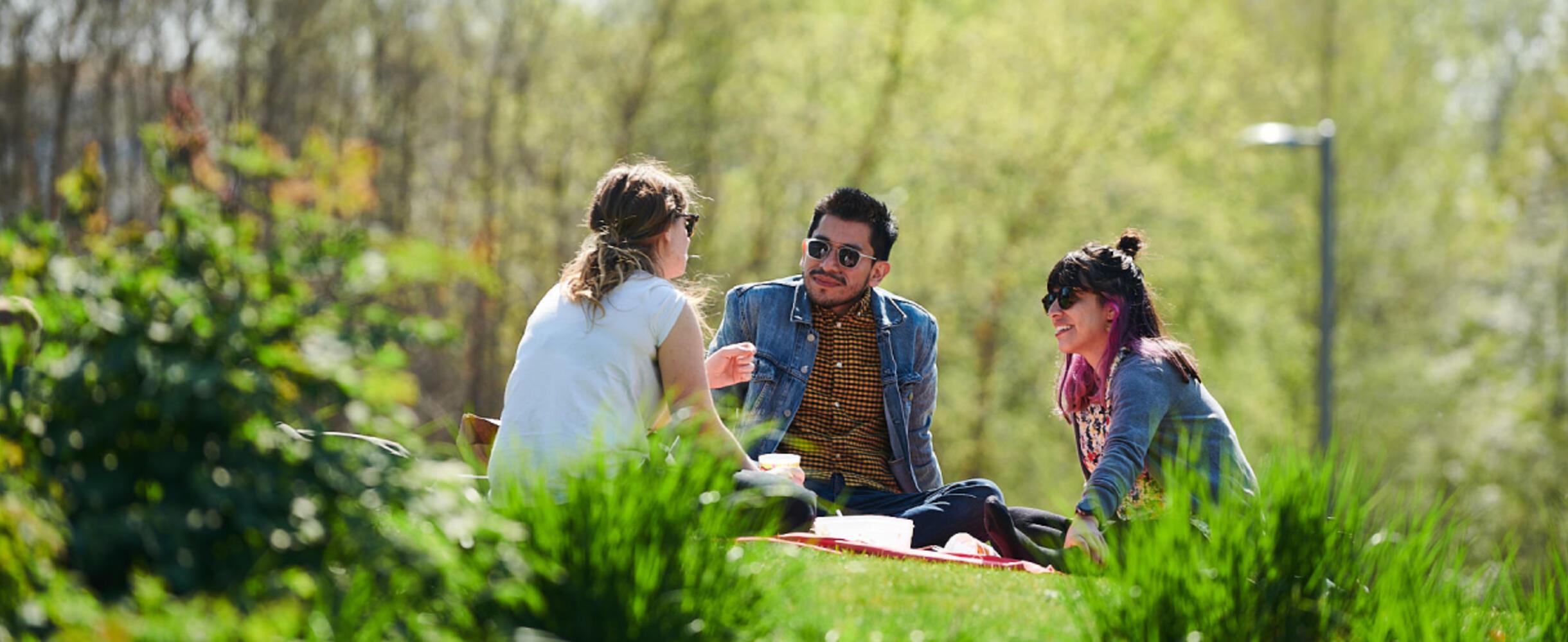 Three people sit on some grass for a picnic