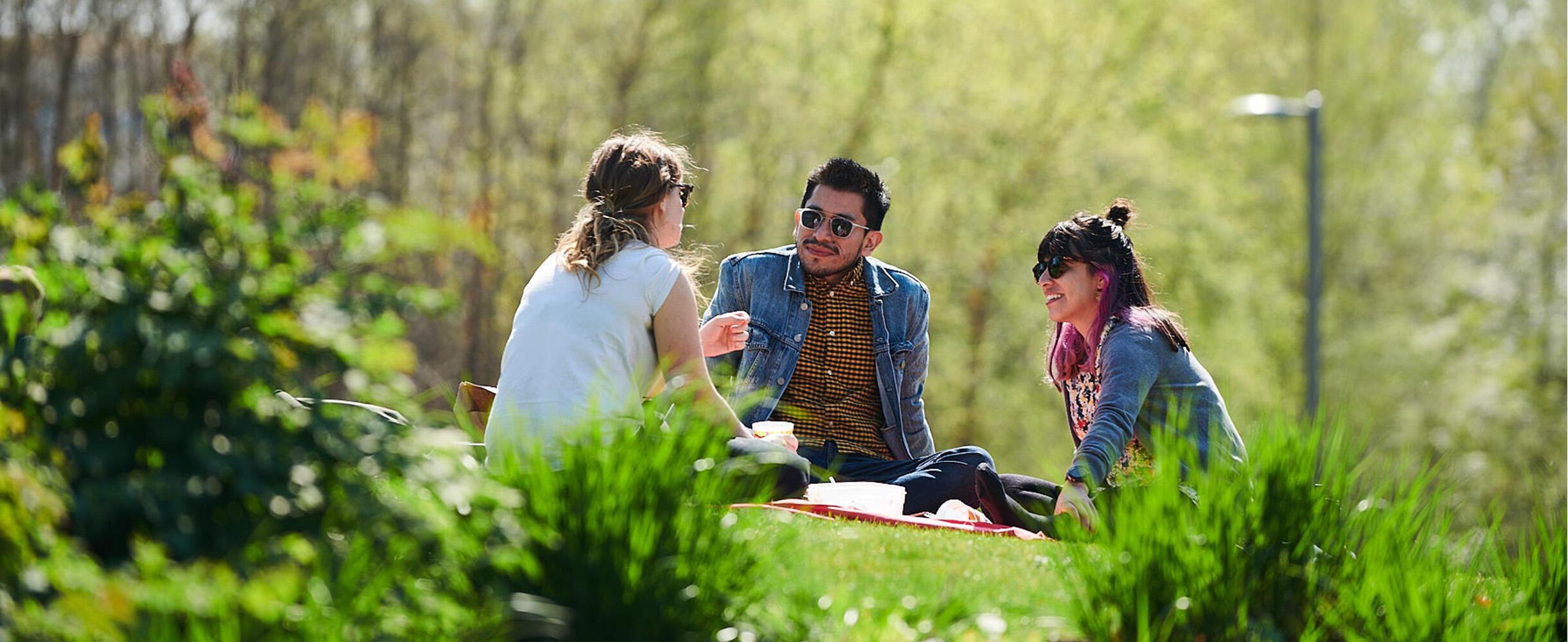 Experience a summer in the park!