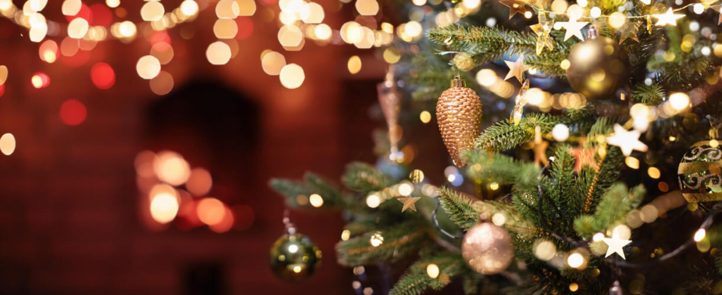 A close-up of a christmas tree