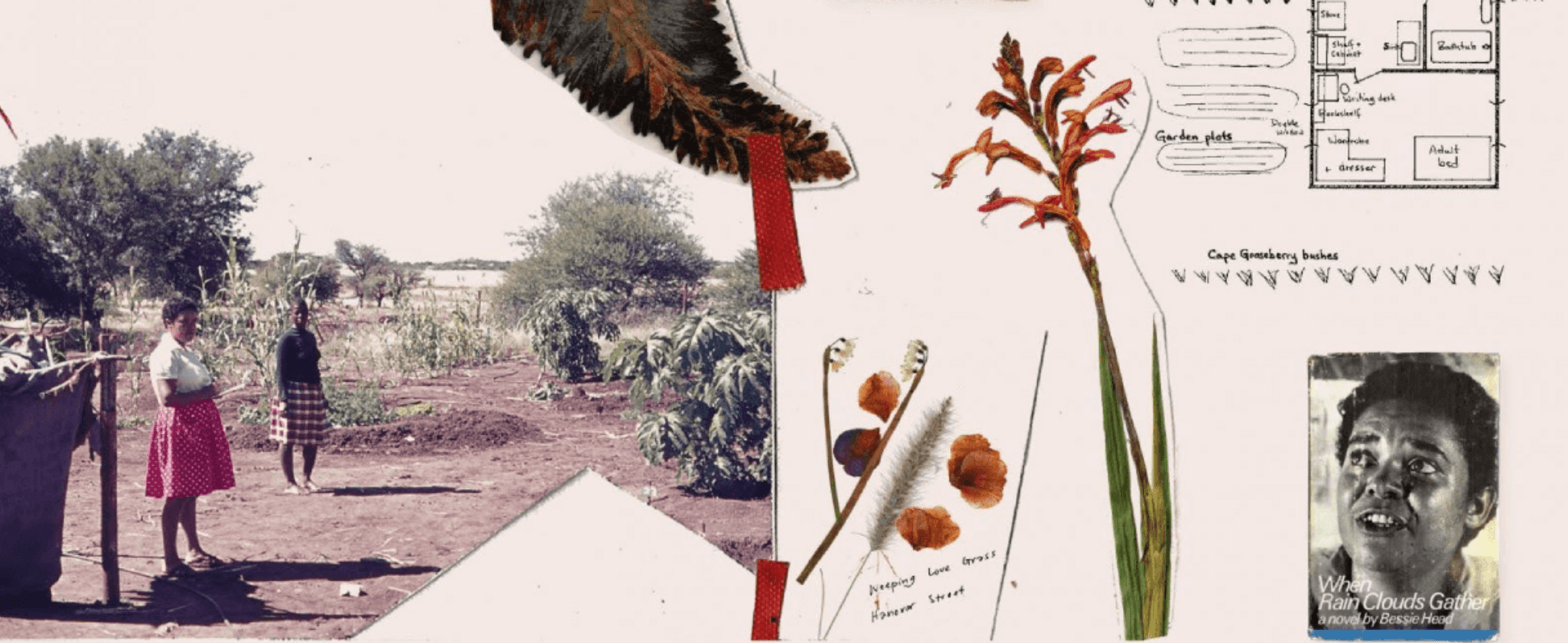 A collage of pictures and items about South African writer Bessie Head.