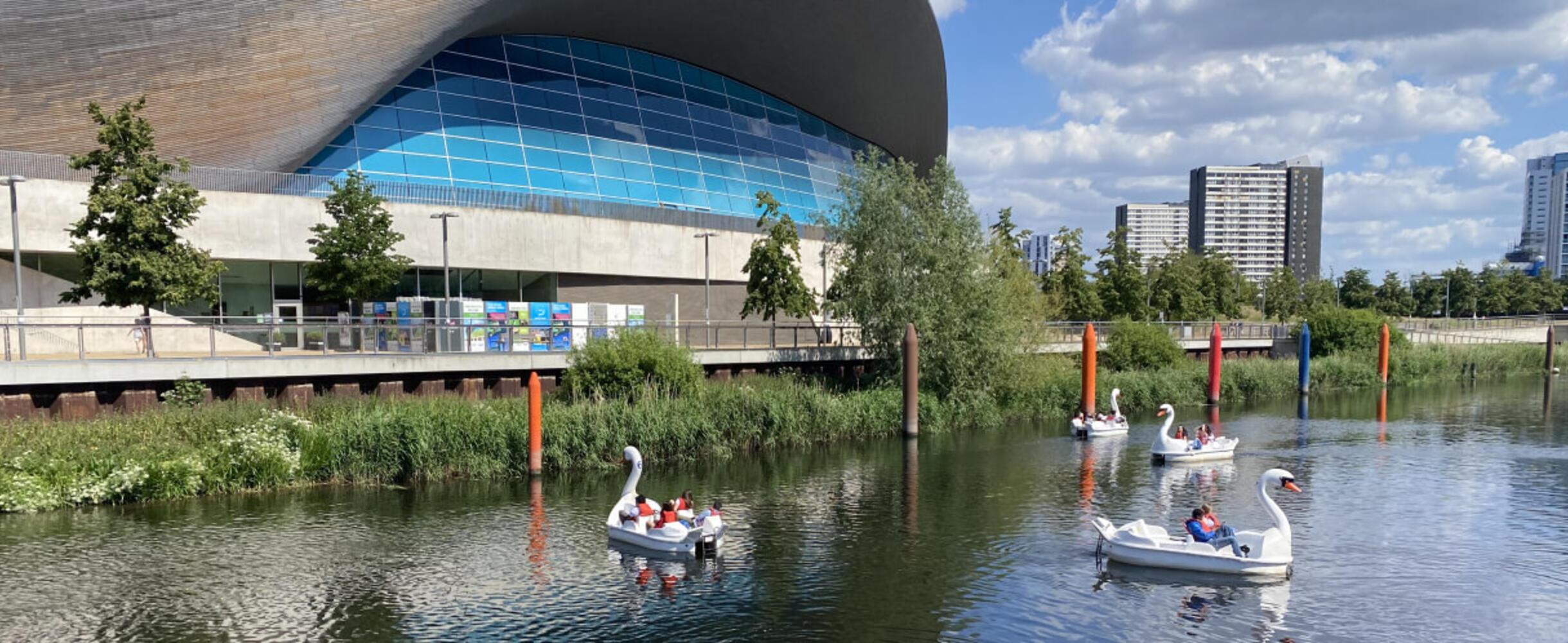Three swans on the water in front of the London Aquatics Centre
