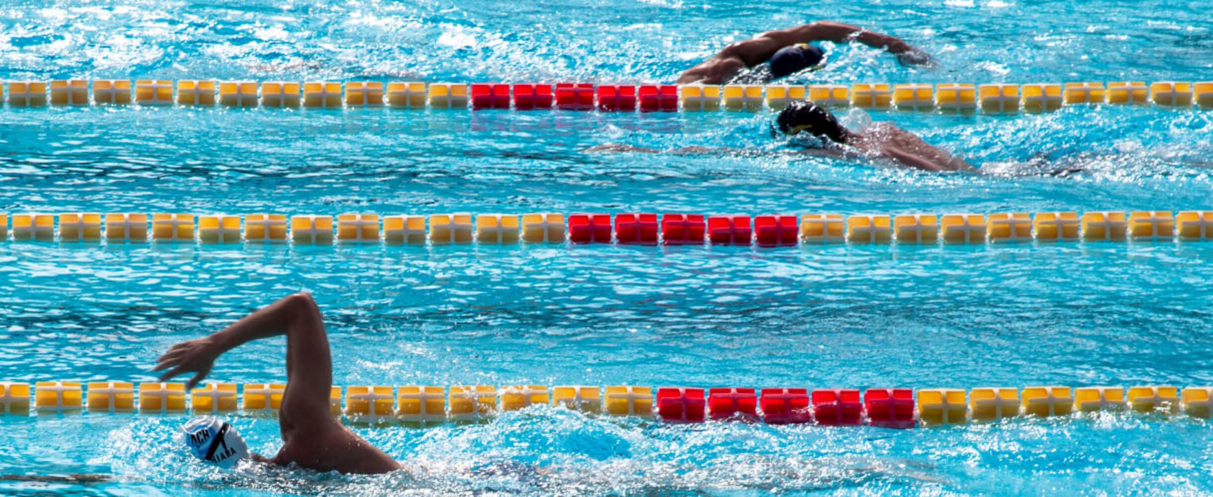Three swimmers swim in a pool