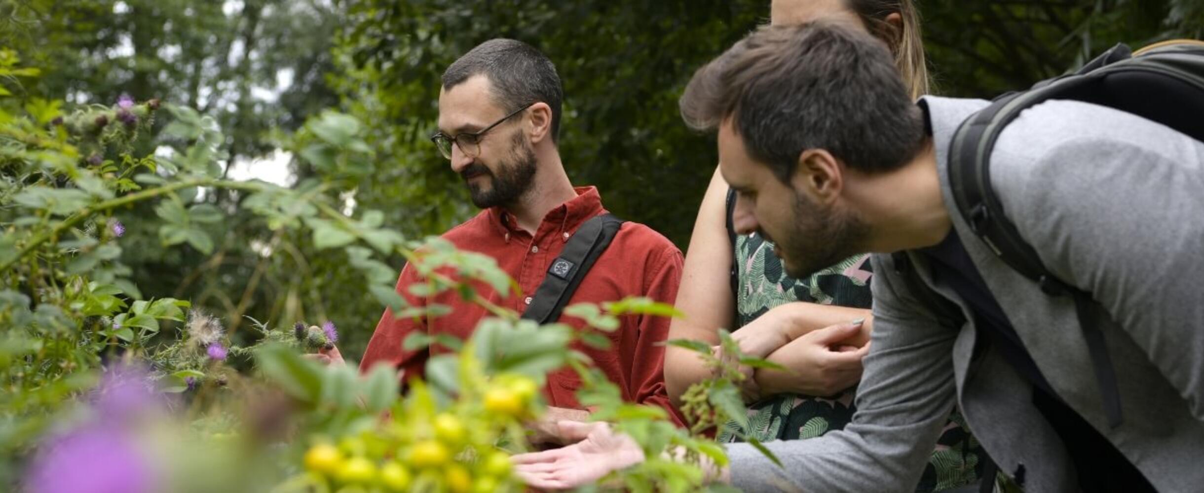 Exploring flora at Queen Elizabeth Olympic Park