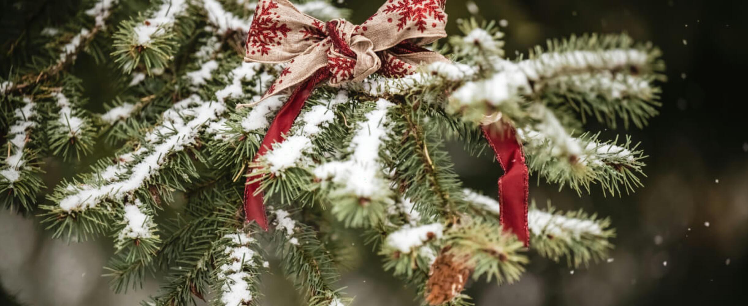 Christmas Tree with bow