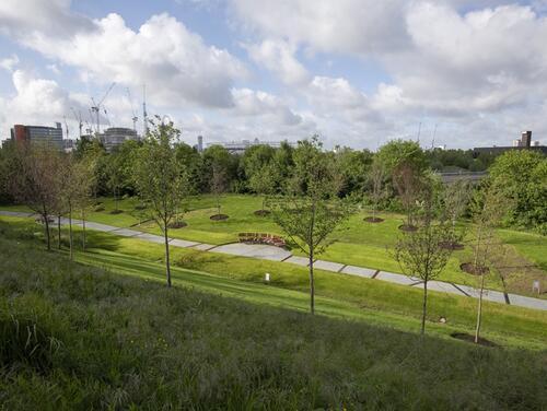 London Blossom Garden at Queen Elizabeth Olympic Park