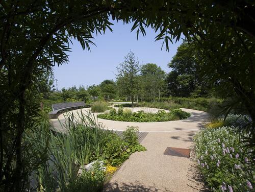 View through trees of garden path and plants