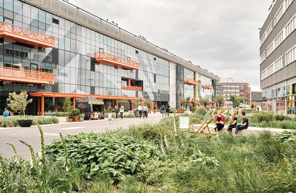Centre of Here East campus including flowerbed and foodtrucks