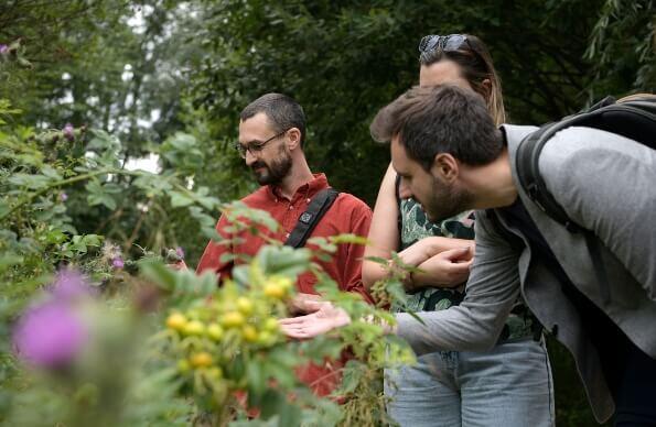 A tour group admiring flowers