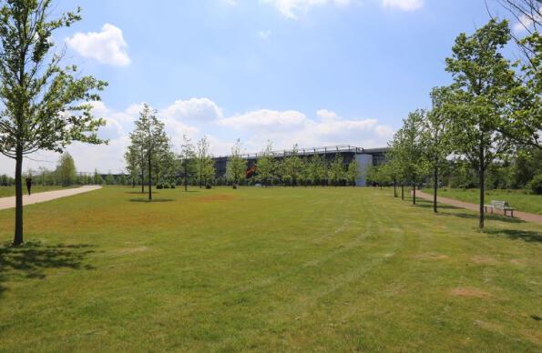 Hopkins Field Hopkins Field