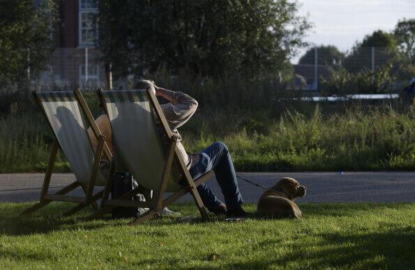 Two people and a dog sit in chair as the sun sets