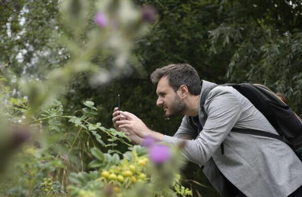 A man takes a photo of a flower in Queen Elizabeth Olympic Park