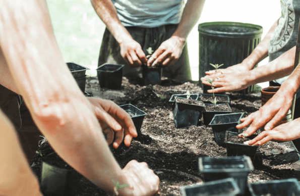 People planting together