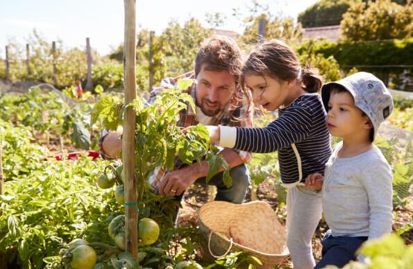 A parent and two children gardens together