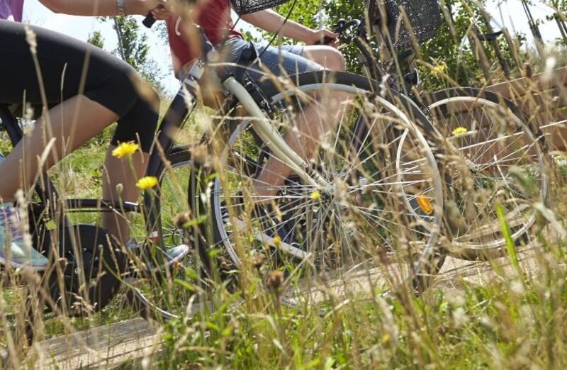 Queen Elizabeth Park