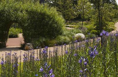 Great British Garden