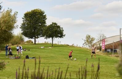 Landscaped gardens at Queen Elizabeth Olympic Park