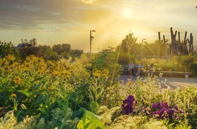 Sunset over the Park gardens