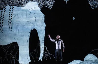A man stands on a stage with a elephant-design behind him