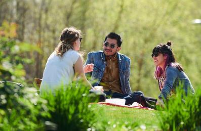 Experience a summer in the park!