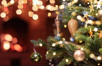 A close-up of a christmas tree