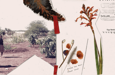 A collage of pictures and items about South African writer Bessie Head.