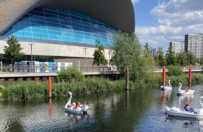 Three swans on the water in front of the London Aquatics Centre