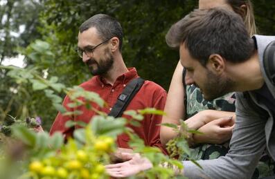 Exploring flora at Queen Elizabeth Olympic Park