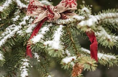 Christmas Tree with bow