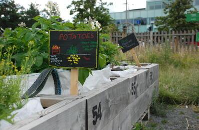 Mobile Garden at Hackney Bridge