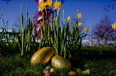 Easter Eggs at the Park