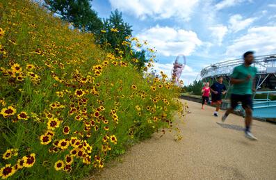 running on pathway next to flowers