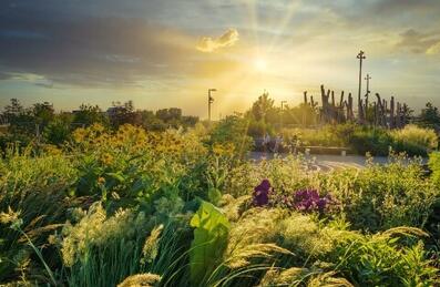 Picturesque sunset over the gardens