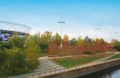 Trees with red and orange leaves at the Park