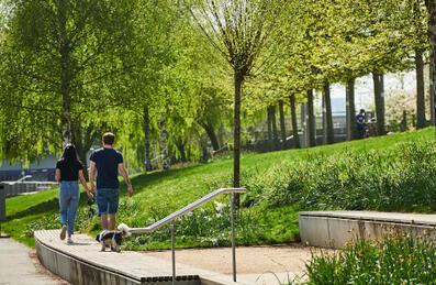 Two people walk their dog in the Park