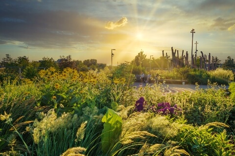 Picturesque sunset over the gardens